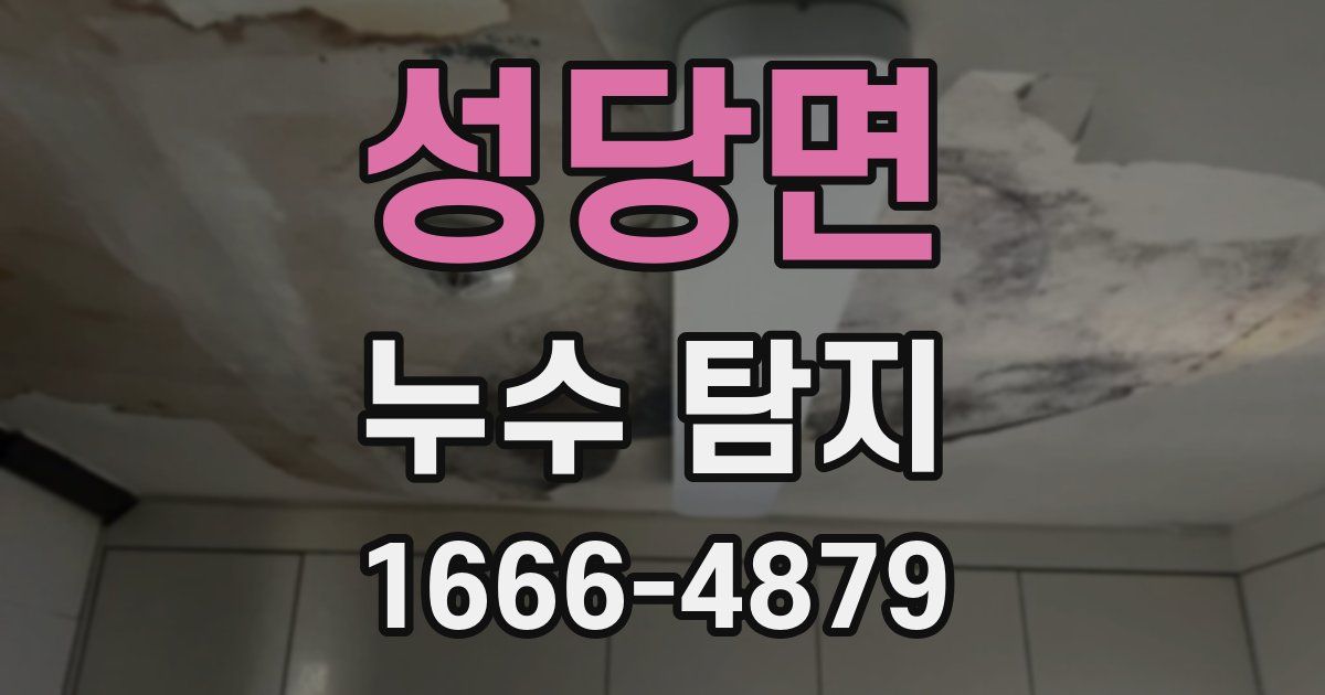 성당면 누수 탐지