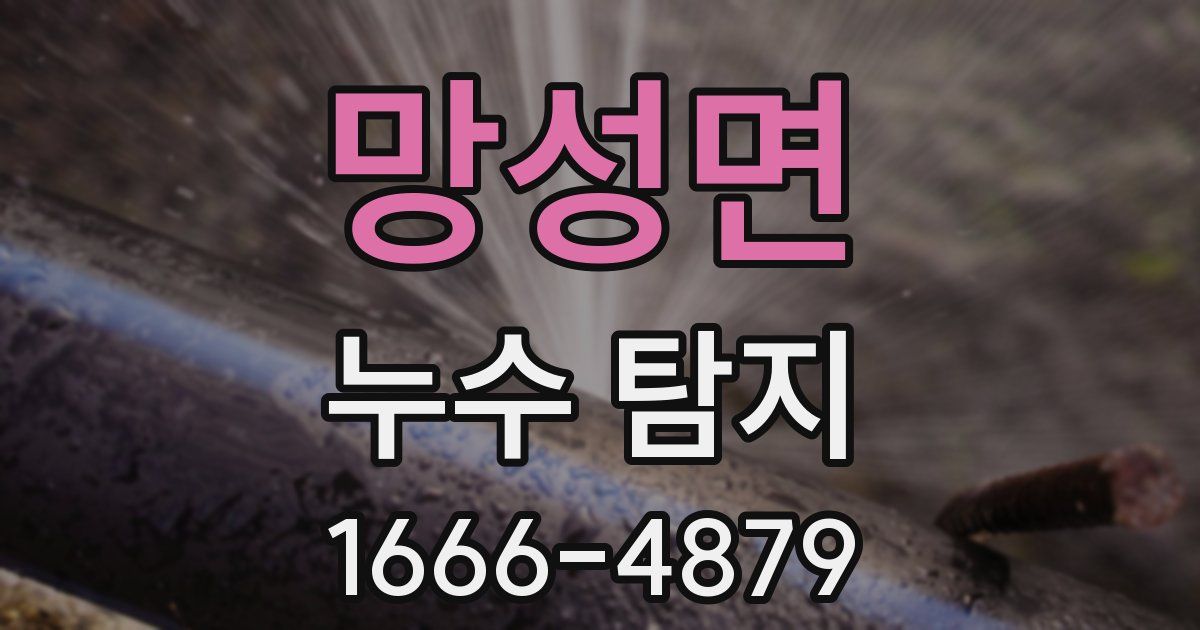 망성면 누수 탐지
