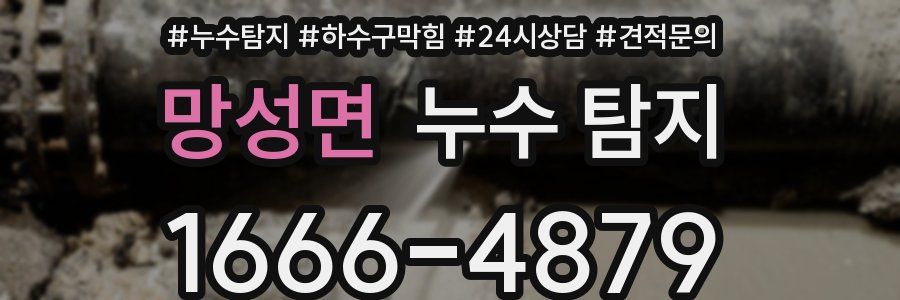망성면 누수 탐지