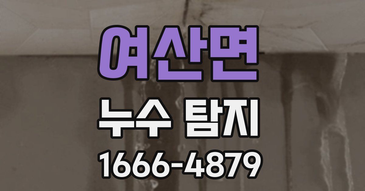 여산면 누수 탐지