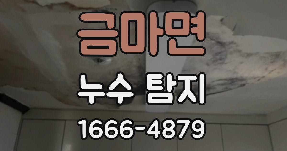 금마면 누수 탐지