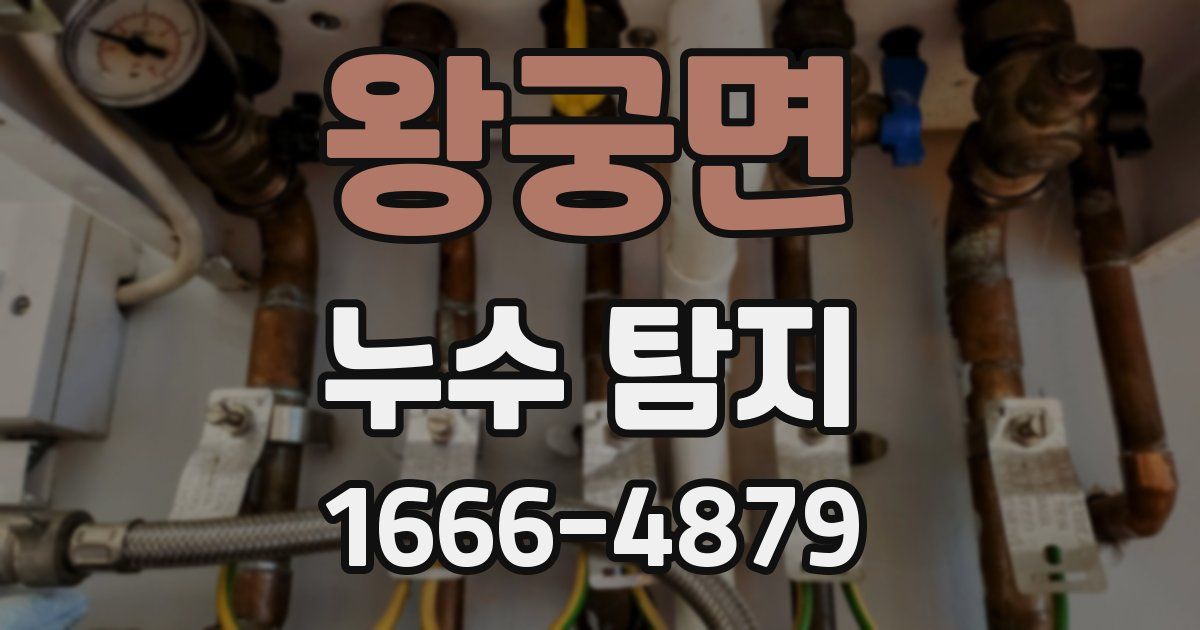 왕궁면 누수 탐지
