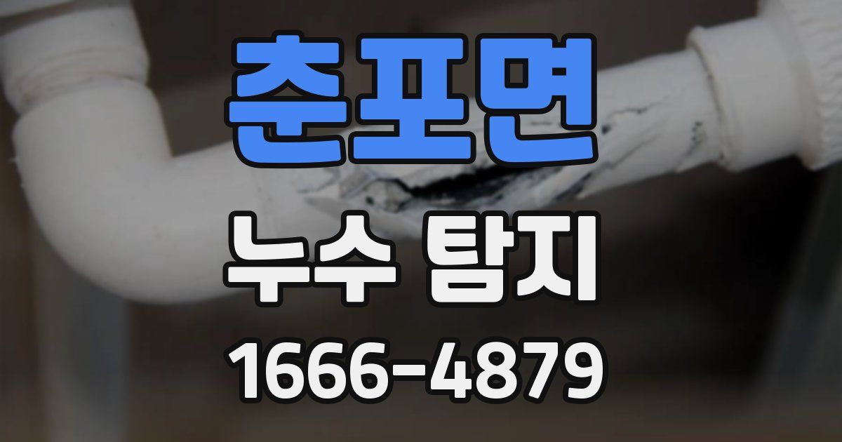 춘포면 누수 탐지