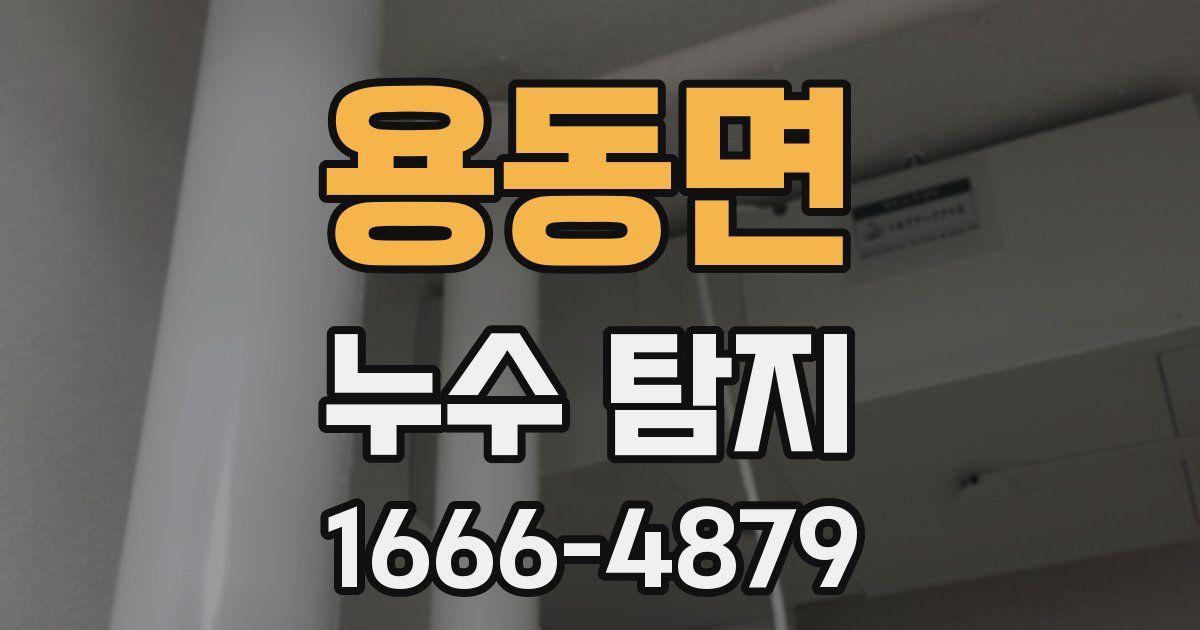 용동면 누수 탐지
