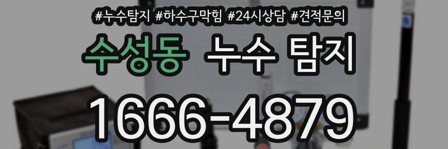 수성동 누수 탐지