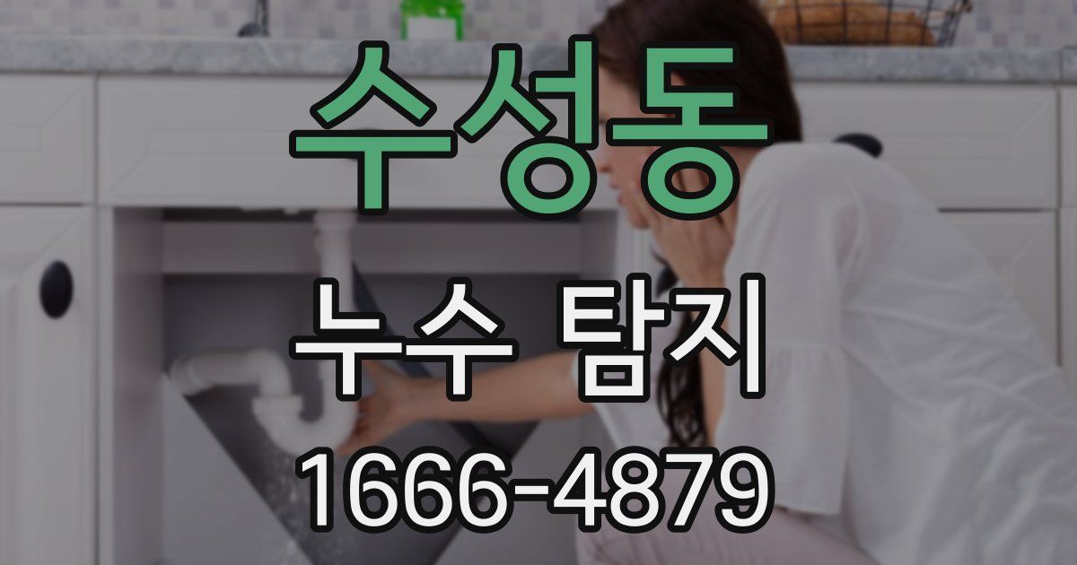 수성동 누수 탐지