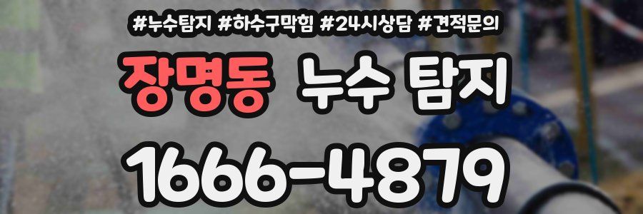 장명동 누수 탐지
