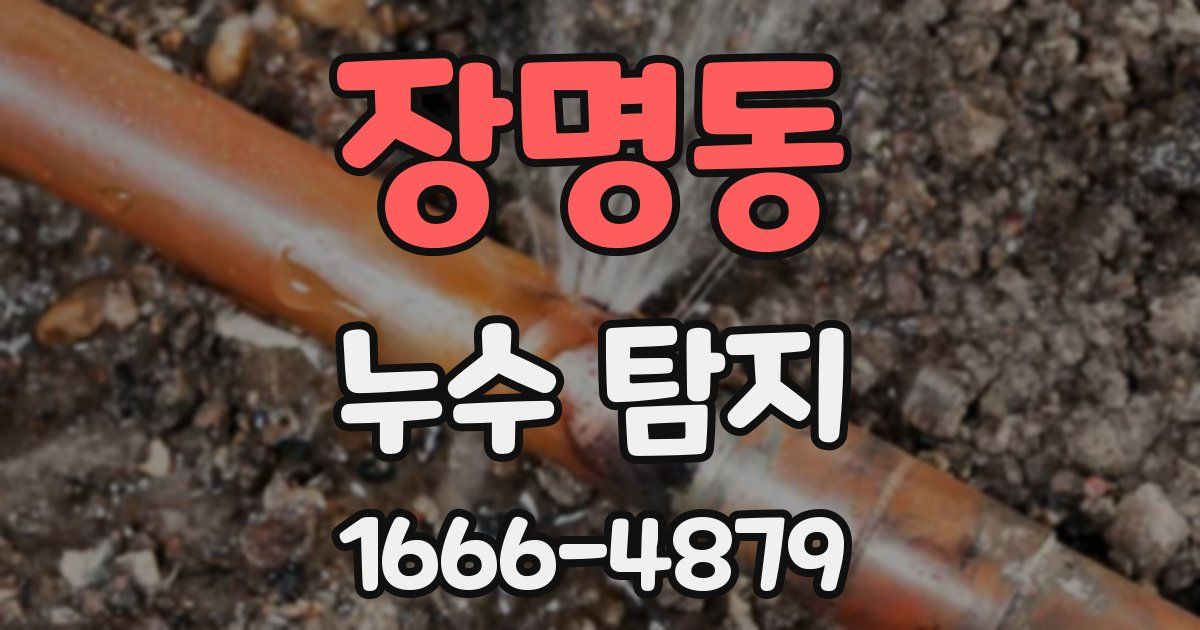 장명동 누수 탐지