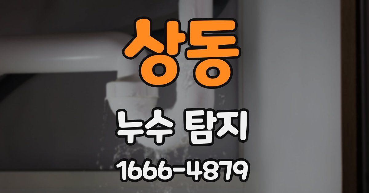상동 누수 탐지