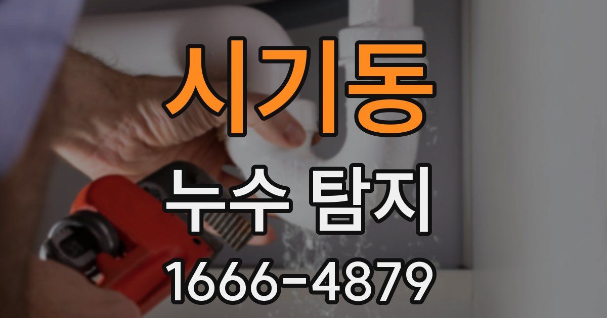 시기동 누수 탐지