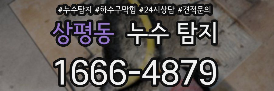 상평동 누수 탐지