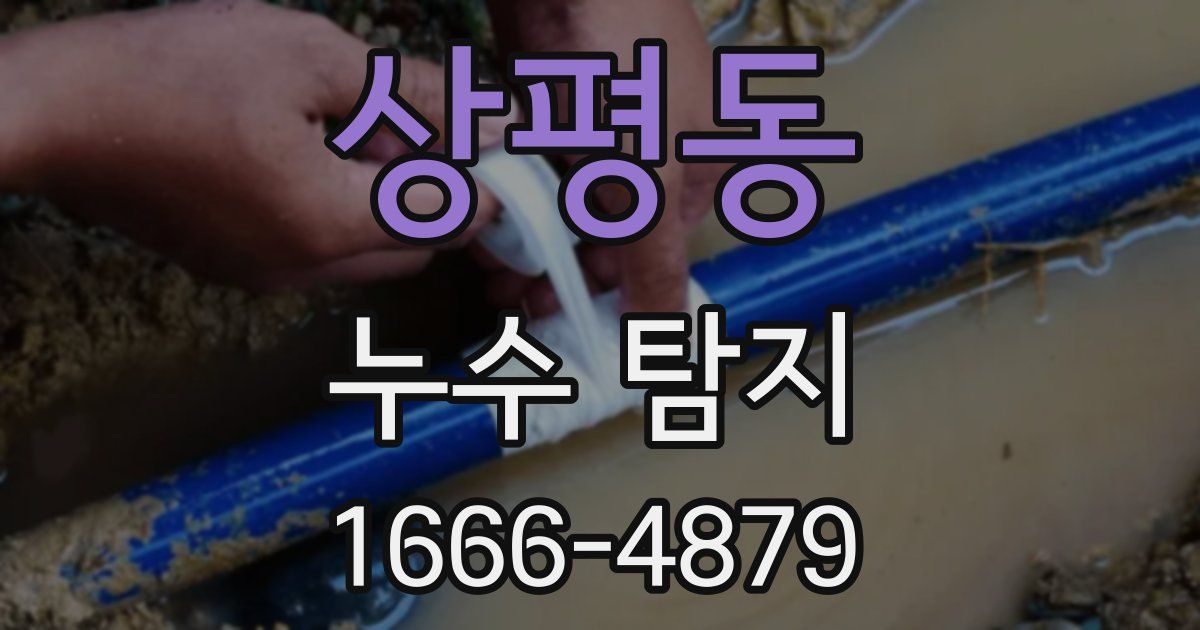 상평동 누수 탐지