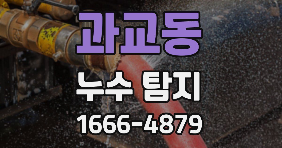 과교동 누수 탐지