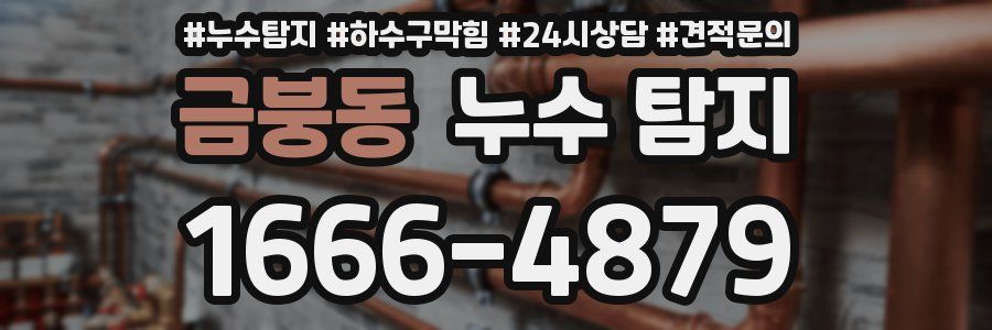 금붕동 누수 탐지