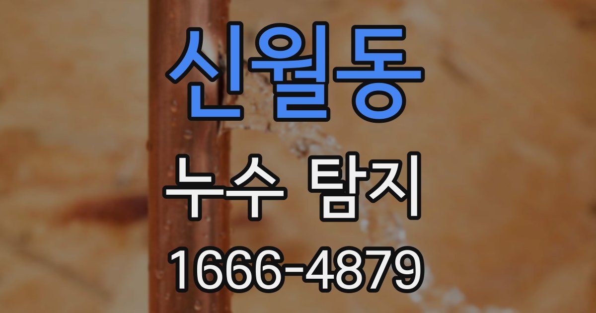 신월동 누수 탐지