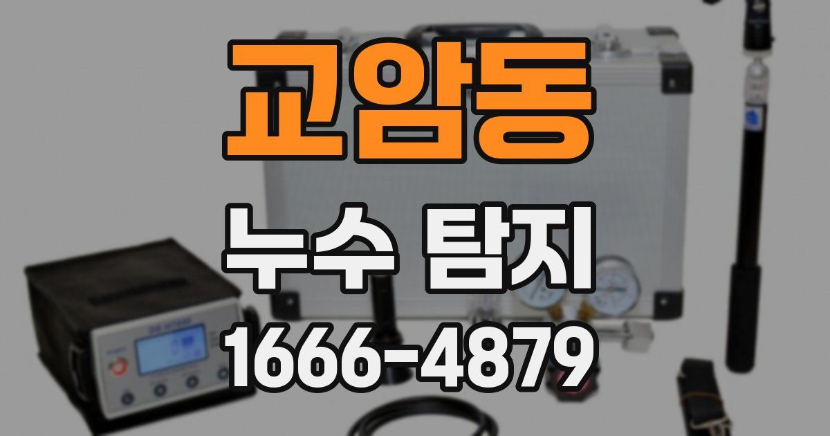 교암동 누수 탐지