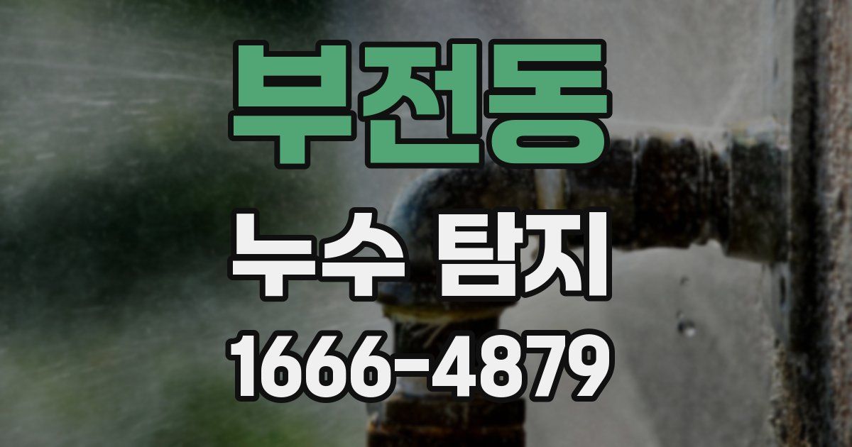 부전동 누수 탐지