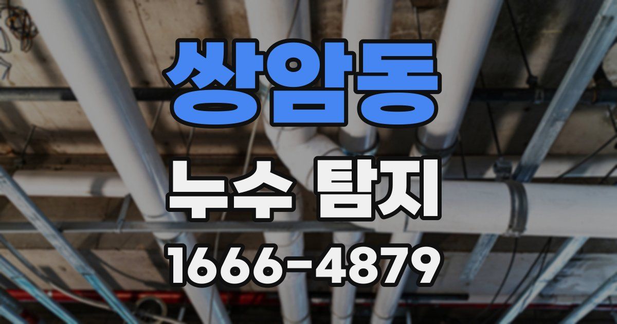 쌍암동 누수 탐지