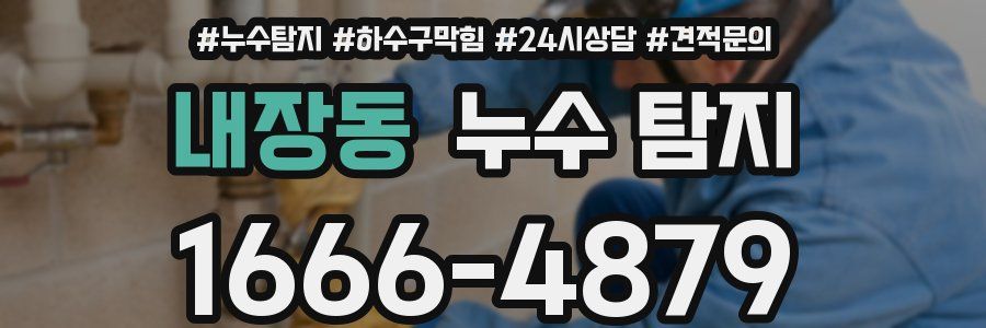 내장동 누수 탐지