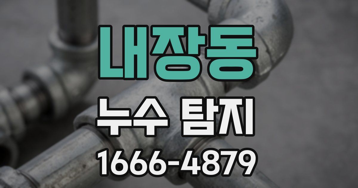 내장동 누수 탐지