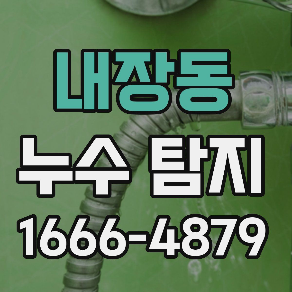 내장동 누수 탐지