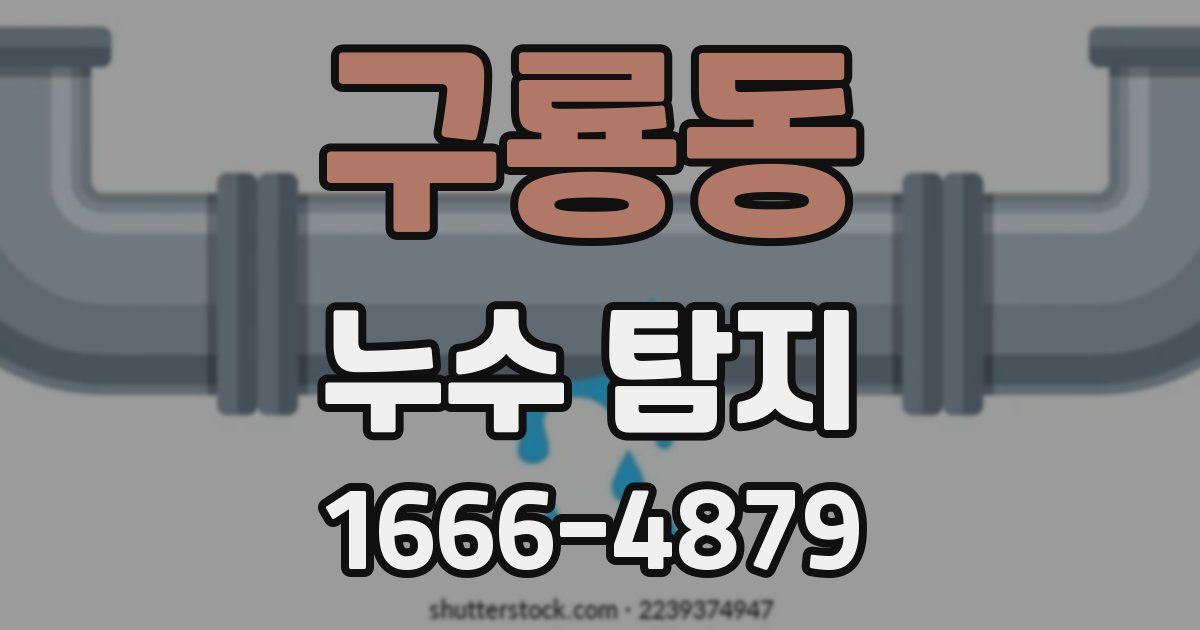 구룡동 누수 탐지