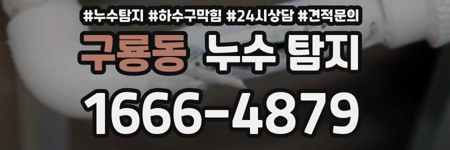 구룡동 누수 탐지
