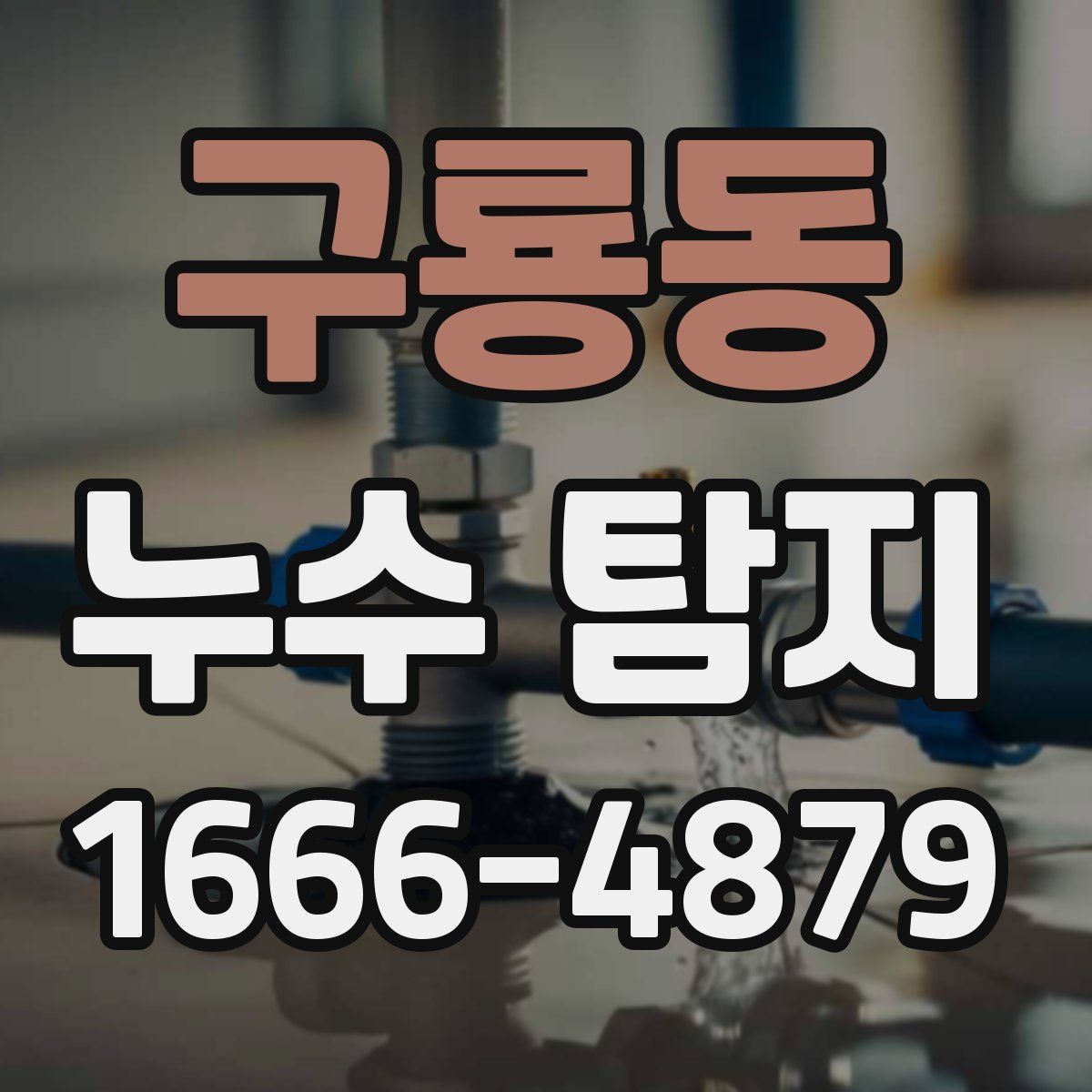 구룡동 누수 탐지