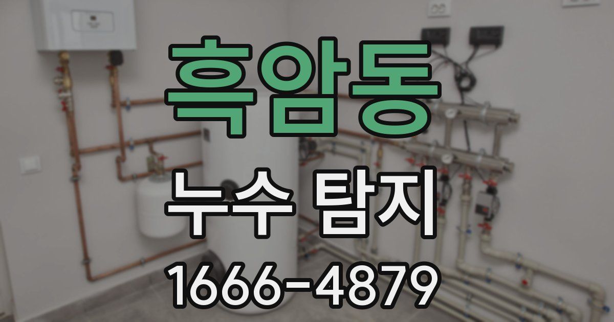 흑암동 누수 탐지
