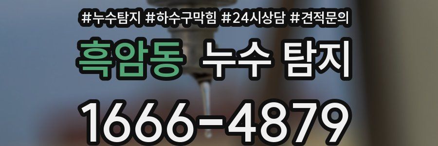 흑암동 누수 탐지