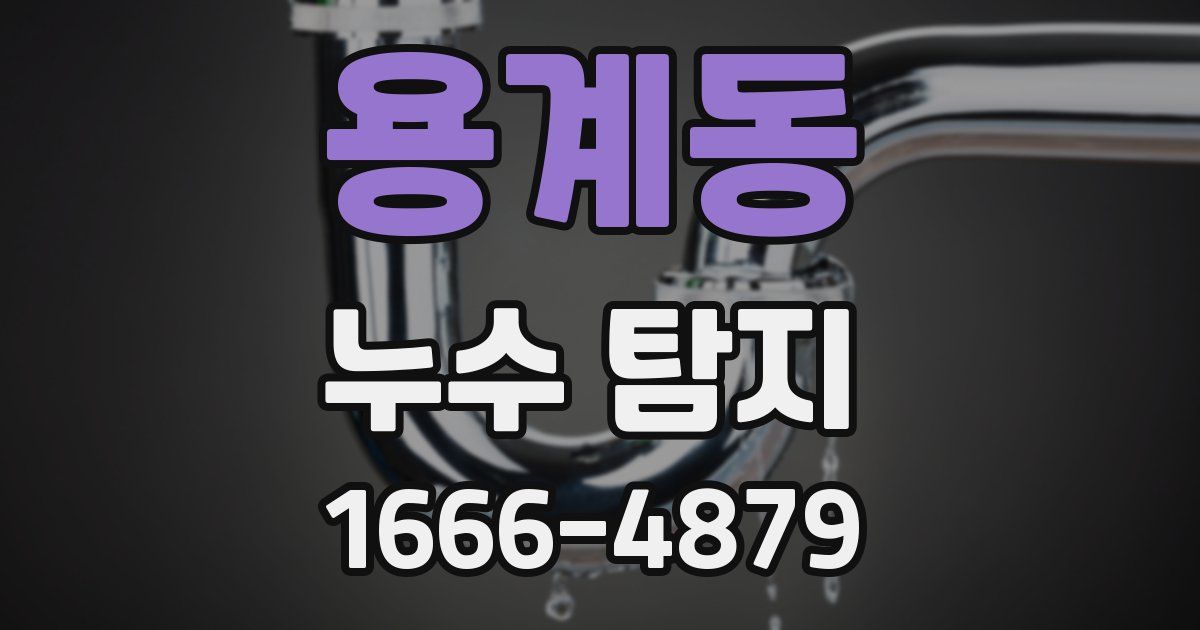 용계동 누수 탐지