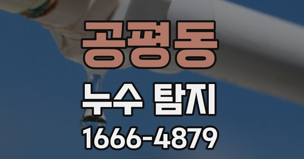 공평동 누수 탐지