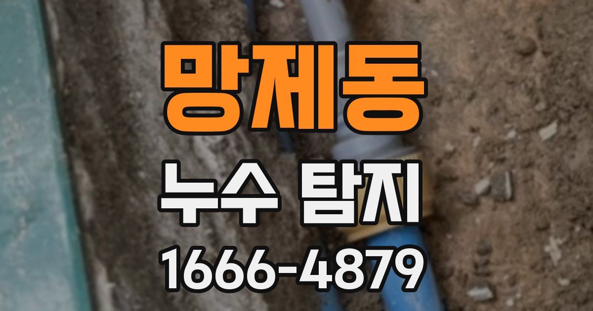 망제동 누수 탐지