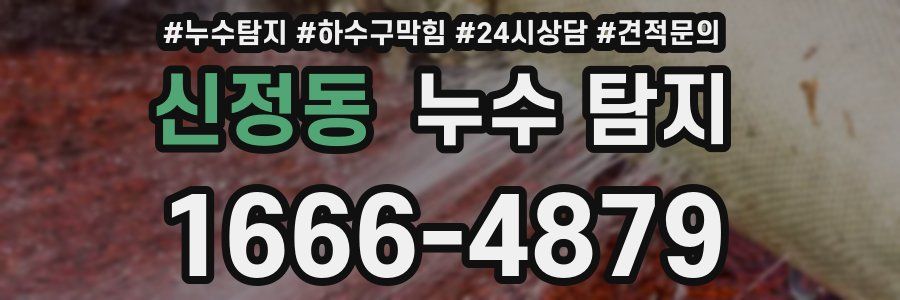 신정동 누수 탐지