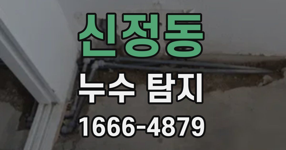 신정동 누수 탐지