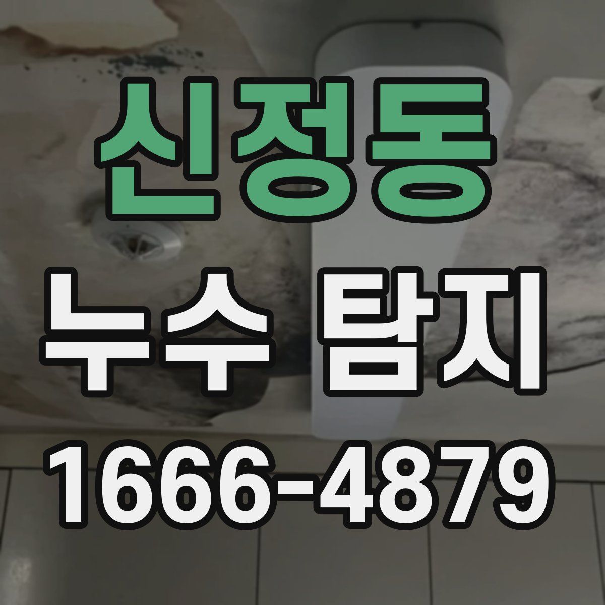 신정동 누수 탐지