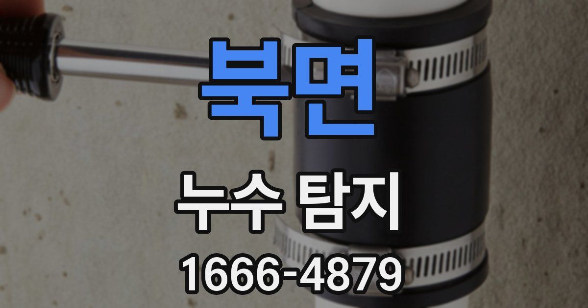 북면 누수 탐지