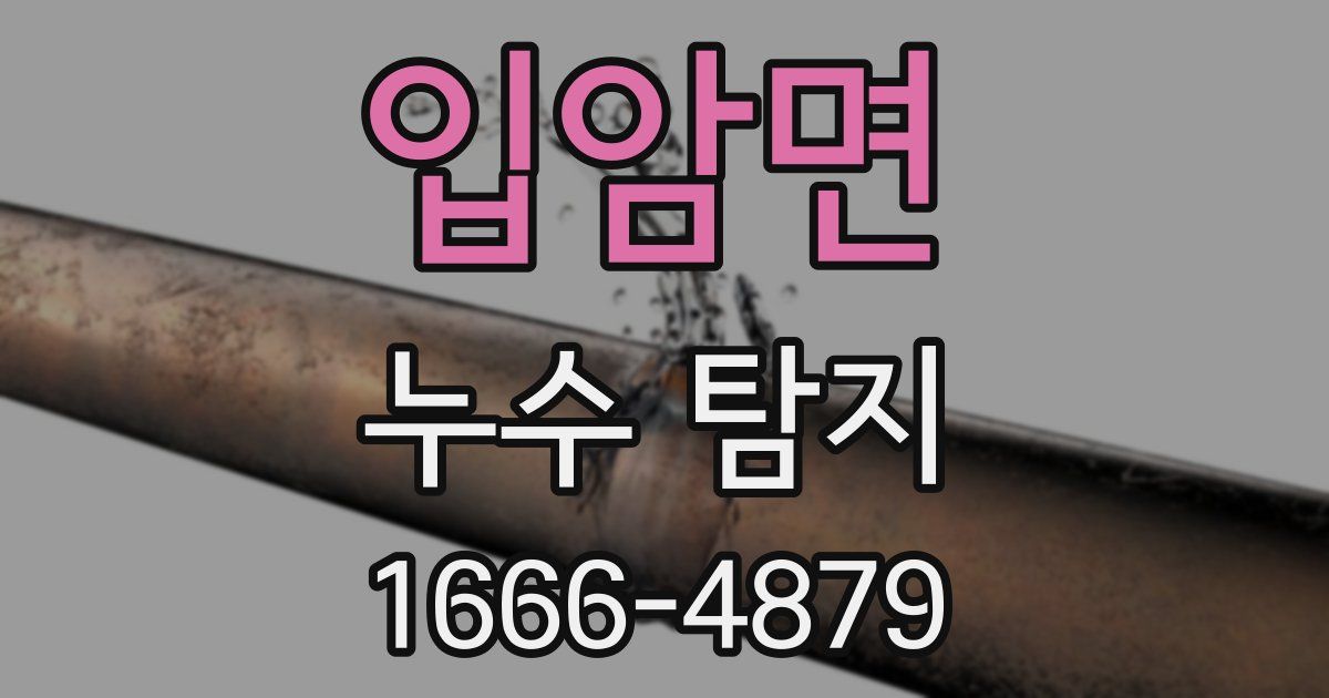 입암면 누수 탐지