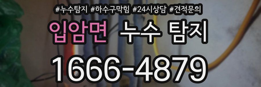 입암면 누수 탐지