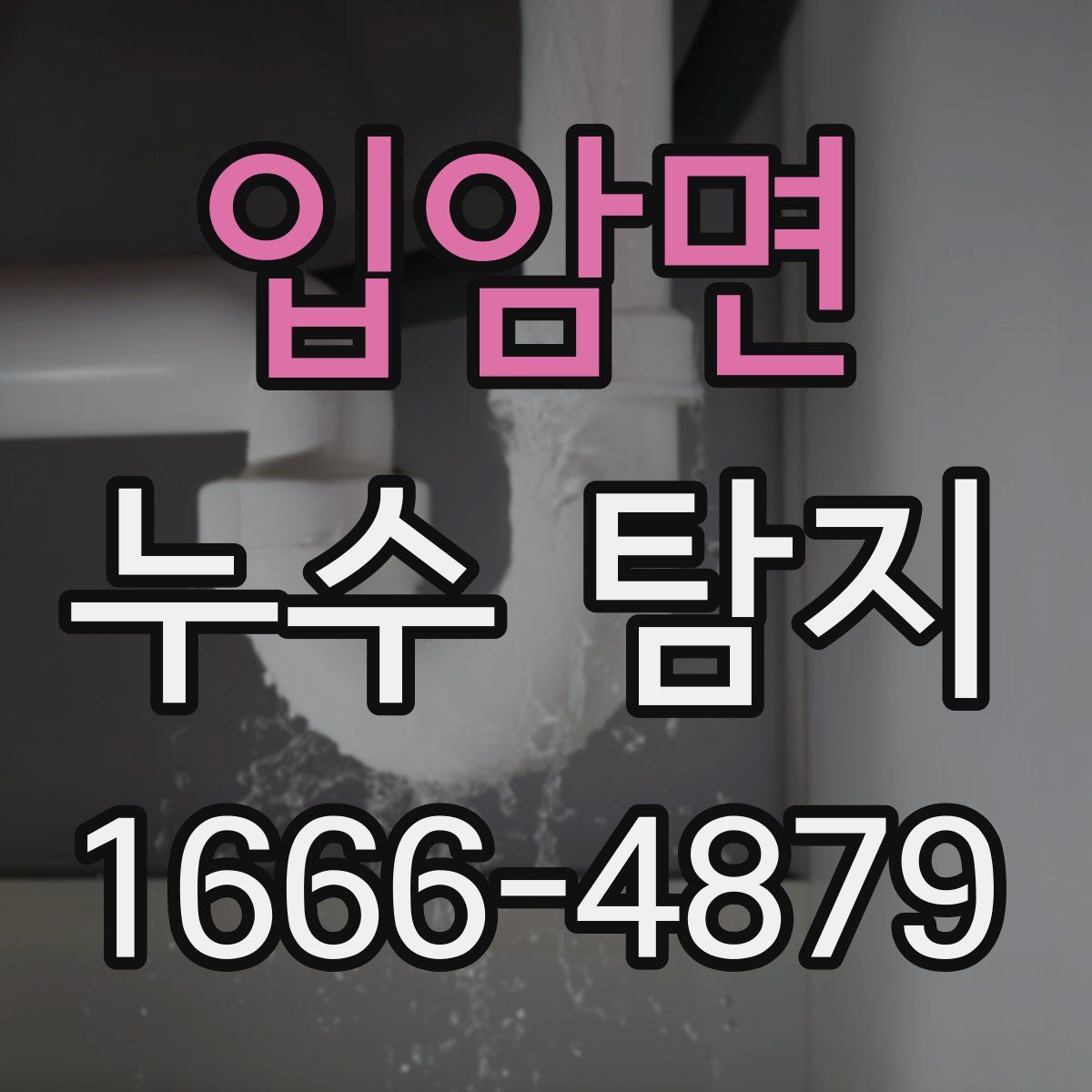 입암면 누수 탐지
