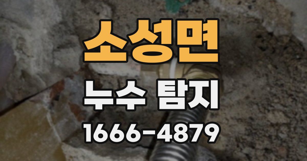 소성면 누수 탐지