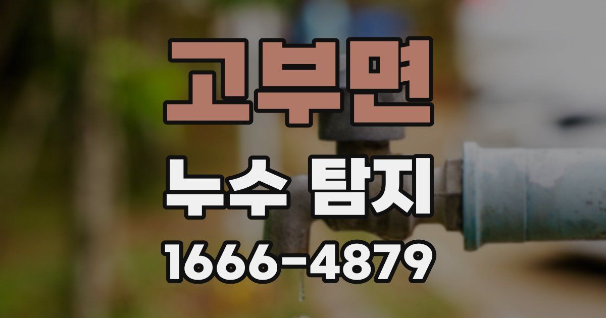 고부면 누수 탐지