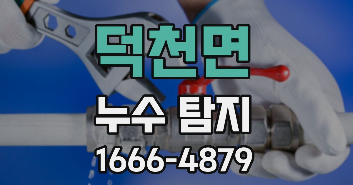 덕천면 누수 탐지