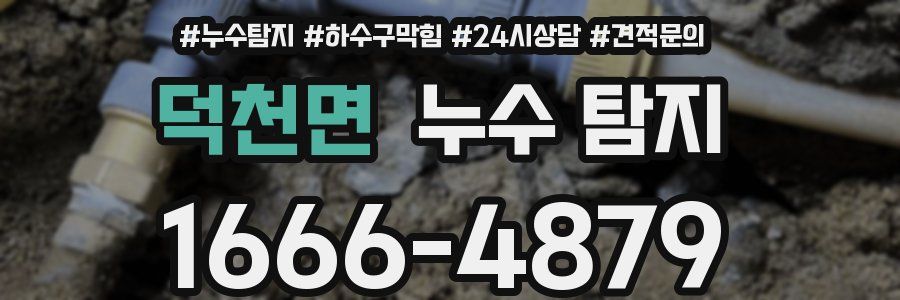 덕천면 누수 탐지