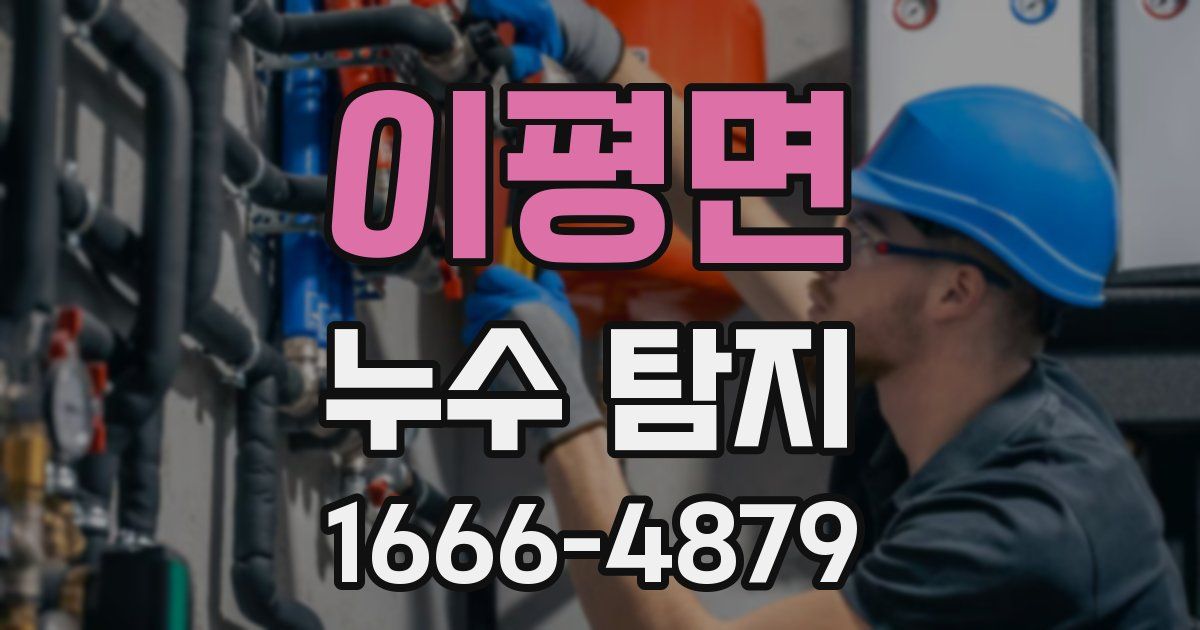 이평면 누수 탐지