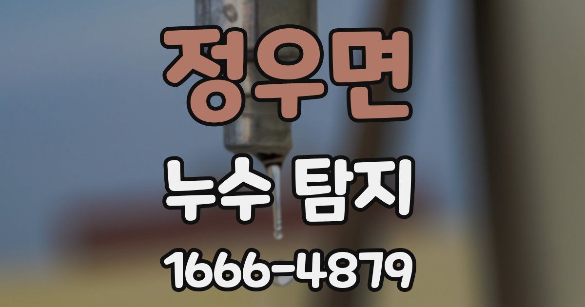 정우면 누수 탐지