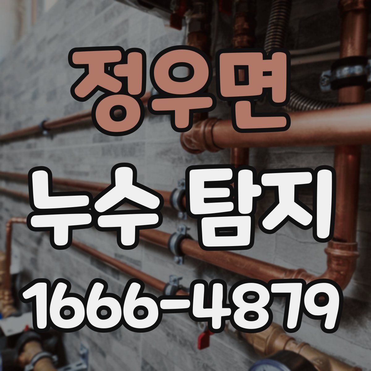 정우면 누수 탐지