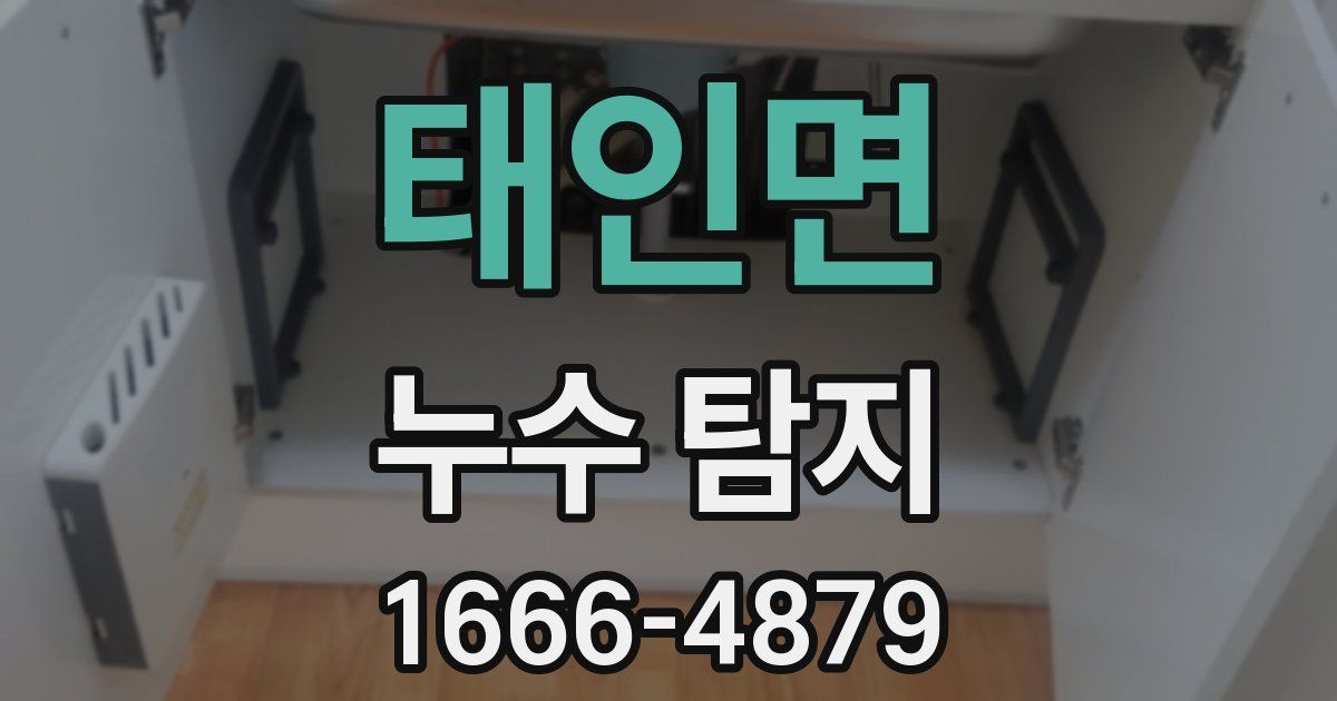 태인면 누수 탐지