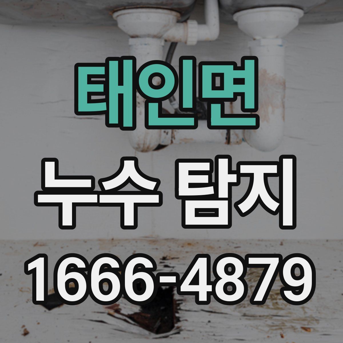 태인면 누수 탐지