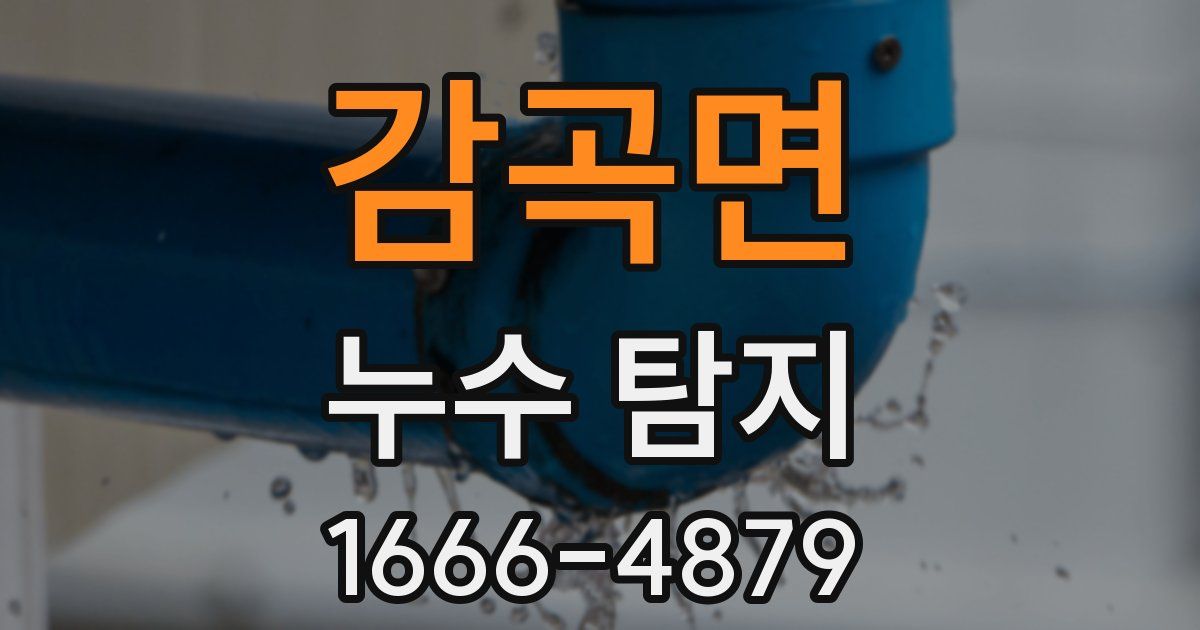 감곡면 누수 탐지